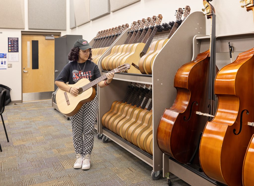 Guitar Storage